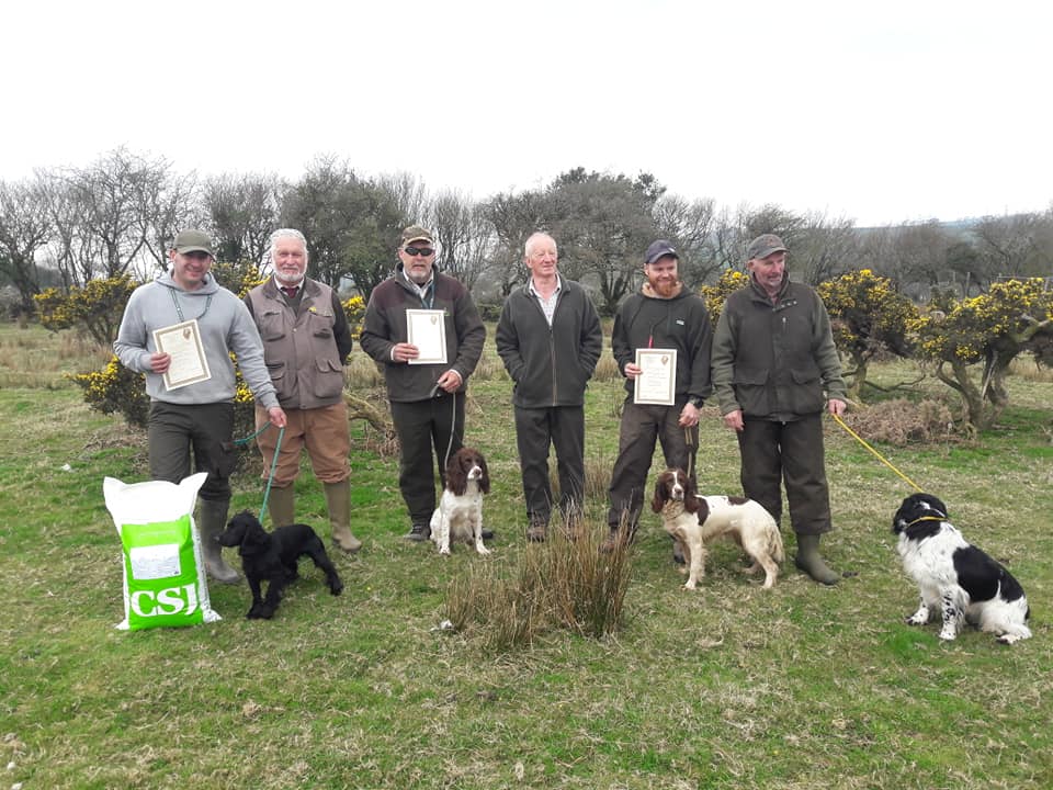 Spaniel working clearance tests 2019